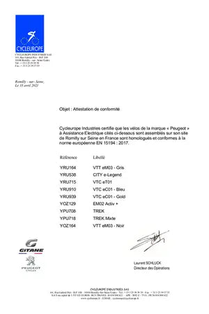 Vélo électrique Peugeot VTC EC01 GOLD T46 moteur central