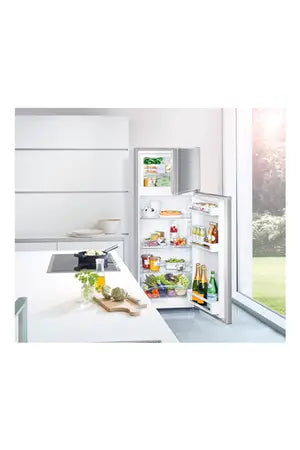 Réfrigérateur congélateur en haut Liebherr CTPELE231-26