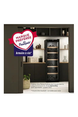 Cave de vieillissement Liebherr WPBLI 5031-20