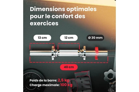 Banc de musculation Hop-Sport Ensemble d'haltères 106 kg et Banc de Musculation Multifonction HS-1065, Pupitre de Biceps, Papillon, Poulie haute, Set de disques de poids en fonte