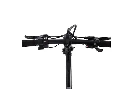 Vélo électrique&nbsp;Carbo Model S, 250W, PAS, 7Ah, Black