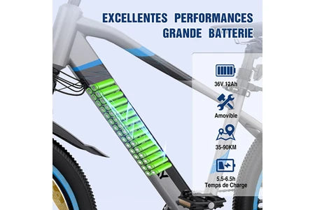 Vélo électrique&nbsp;Colorway Vélo Électrique - BK7S - Pneu 26 pouces 36V 12Ah Shimano 7 Vitesses- Sliver