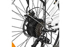 Vélo électrique&nbsp;GENERIQUE Heybike Cityscape 250W 36V10AH Noir