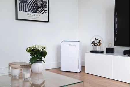Purificateur Eziclean Purificateur d'air -® Air pure 500i