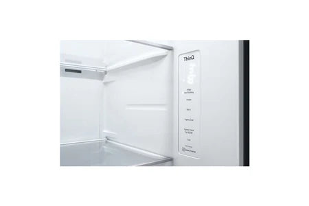 Réfrigérateur américain Lg GSLV81PZLE 635 L Platinium