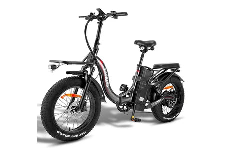 Vélo électrique&nbsp;Fafrees Vélo électrique F20 X-MAX - Moteur 750W Batterie 48V30AH Assisted Autonomie 180KM Frein à Disque Hydraulique - Gris