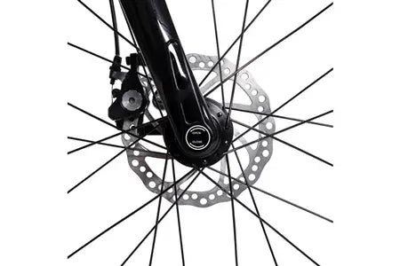 Vélo électrique&nbsp;Carbo Model S, 250W, PAS, 7Ah, Black