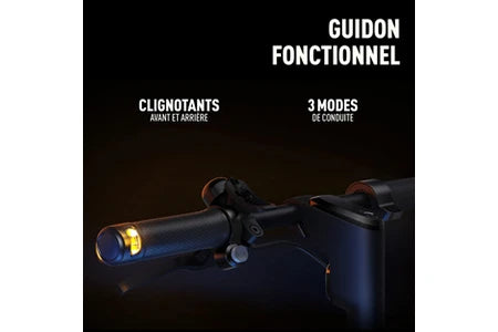 Trottinette électrique Ninebot F2 E powered by Segway AVEC CLIGNOTANTS