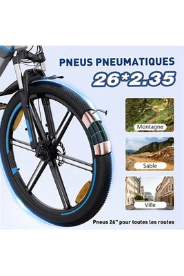 Vélo électrique&nbsp;Colorway Vélo Électrique - BK7S - Pneu 26 pouces 36V 12Ah Shimano 7 Vitesses- Sliver