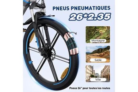 Vélo électrique&nbsp;Colorway Vélo Électrique - BK7S - Pneu 26 pouces 36V 12Ah Shimano 7 Vitesses- Sliver