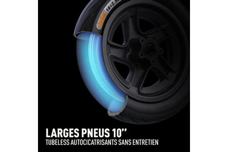 Trottinette électrique Ninebot F2 E powered by Segway AVEC CLIGNOTANTS