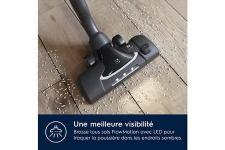 Aspirateur sans sac Electrolux PC91-ANIMA
